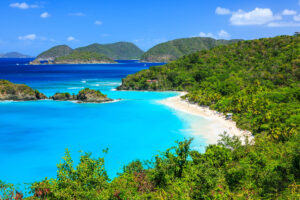 trunk bay st john