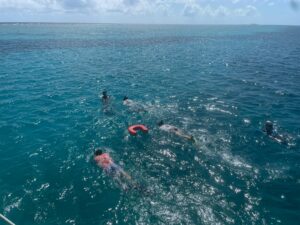Multiple snorkelers in turquoise Caribbean waters with red flotation devices, exploring shallow reef area on sunny day.