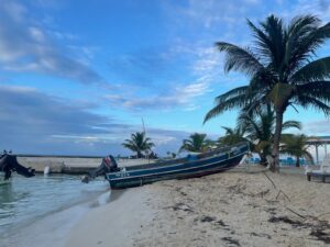Blue and yellow fishing boat moored on sandy beach with palm trees and calm sea under blue sky.