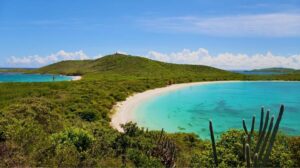 Pristine turquoise beach cove surrounded by lush green hills and cacti in the Galápagos Islands.